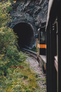 Train on railroad track