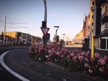 View of city street