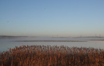 Scenic view of lake against clear sky