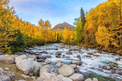 Scenic view of stream by autumn trees against sky