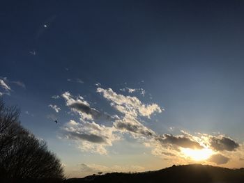 Low angle view of silhouette trees against sky