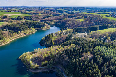 High angle view of lake amidst trees