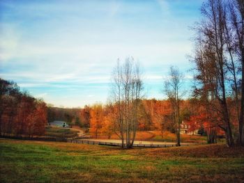 Trees on field against sky during autumn