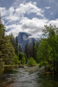 Scenic view of waterfall in forest against sky