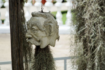 Close-up of statue against tree trunk