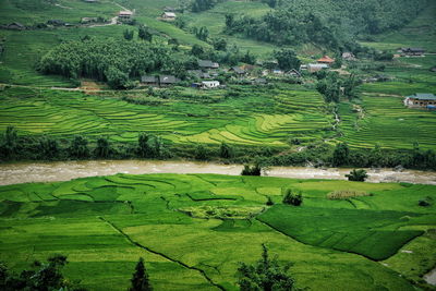 Scenic view of grassy field against sky