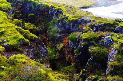 Scenic view of waterfall