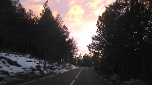 Road amidst trees against sky during winter