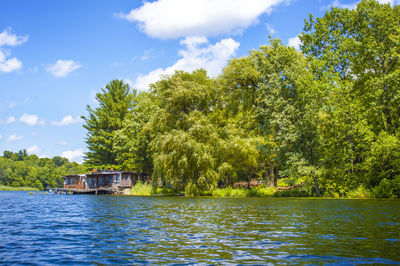Trees by river against sky