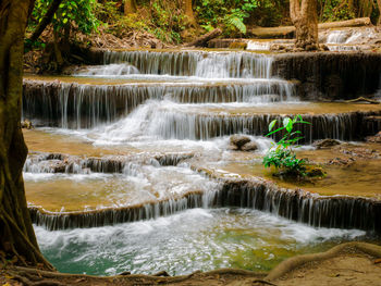 Scenic view of waterfall in forest