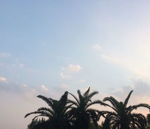 Low angle view of trees against sky