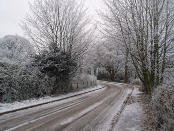 Road amidst trees during winter