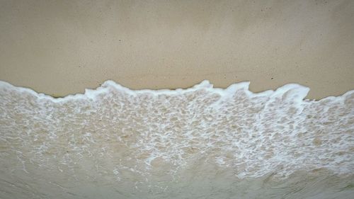 white color