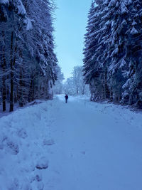 One man walking in snow covered forest against sky