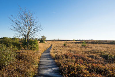 Scenic view of field against clear blue sky