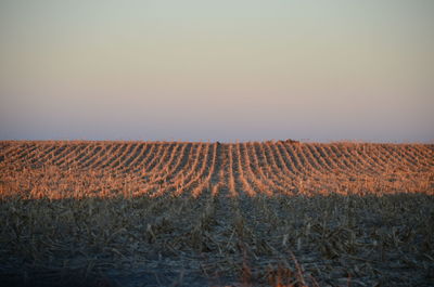 Scenic view of field against clear sky during sunset