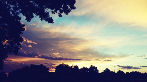 Silhouette of trees at sunset