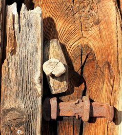 Full frame shot of wood