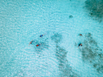 High angle view of people swimming in pool