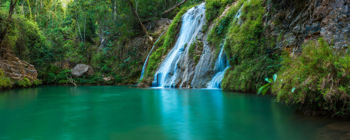 Scenic view of waterfall in forest