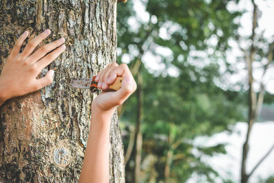Cropped image of woman poking knife by tree trunk