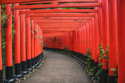 Red torii gates in fushimi inari shrine