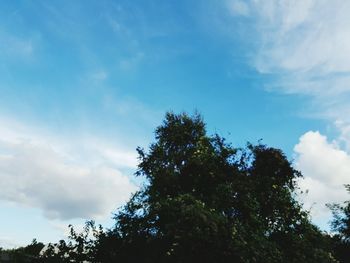 Low angle view of trees against cloudy sky