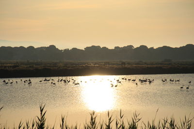 Scenic view of lake against sky during sunset