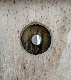 Close-up portrait of hole