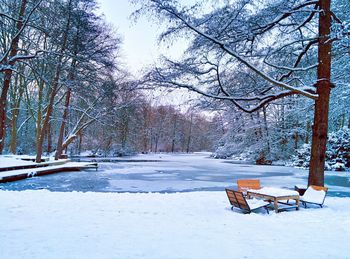 Bare trees on snow covered landscape