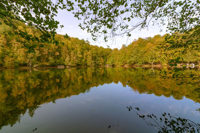 Scenic view of lake by trees against sky