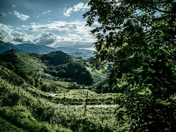 Scenic view of landscape against sky