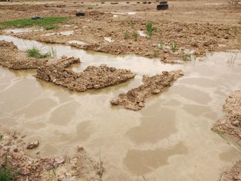 High angle view of shallow water on land