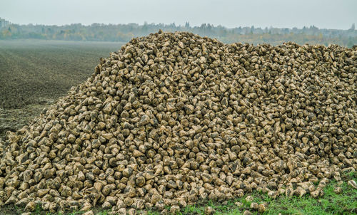 Stack of stones on field against sky