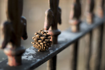 Close-up of food on railing