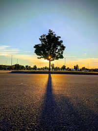 Silhouette tree by road against sky during sunset
