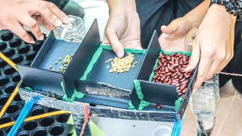 Midsection of people putting seeds in seedling pot