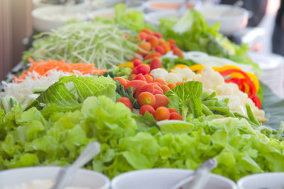 Close-up of chopped vegetables in plate