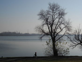 Silhouette person on bare tree against sky