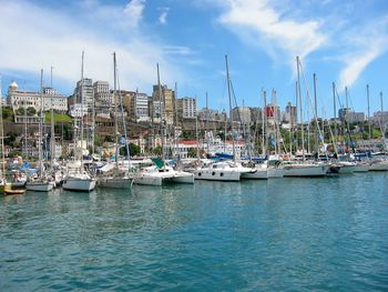 Sailboats moored on harbor against sky