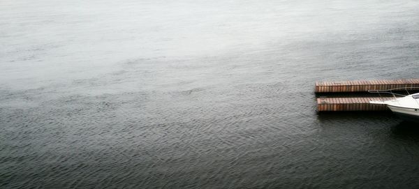 Reflection of trees in water