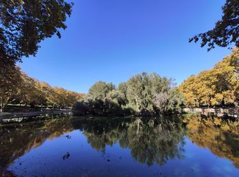 Reflection of trees in lake against clear blue sky