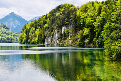 Scenic view of lake by trees against sky