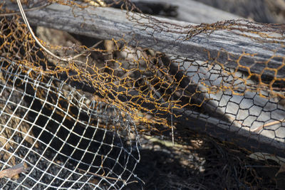 Full frame shot of dry leaf on metal
