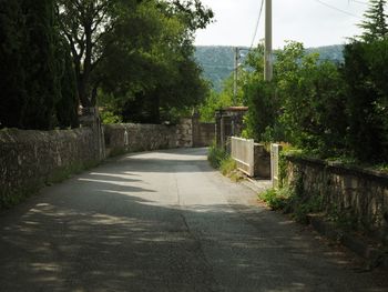 Footpath amidst trees and plants in city