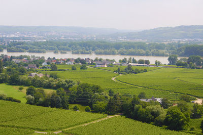 Scenic view of agricultural field against sky