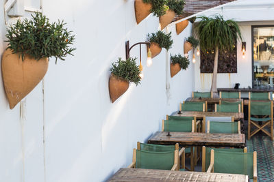 Potted plants on table against building