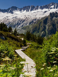 Scenic view of snowcapped mountains