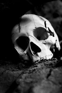Close-up of human skull
