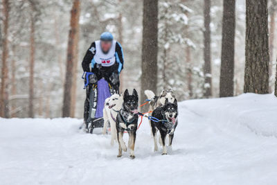 Full length of a dog on snow covered land